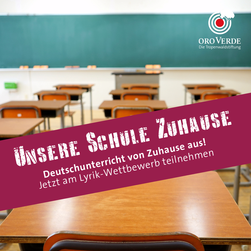 (© Tropenwaldstiftung OroVerde)