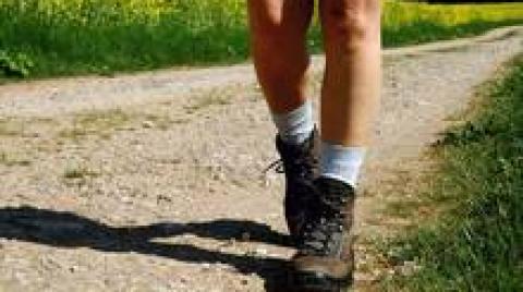 Füße in Wanderschuhen auf einem Feldweg.