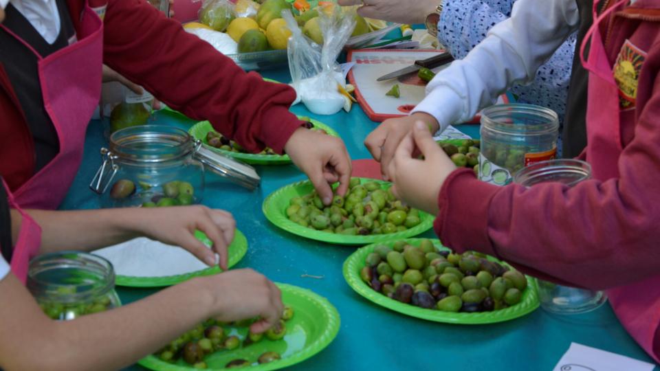 Schülerinnen und Schüler der Schmidt-Schule Jerusalem verarbeiten Oliven.