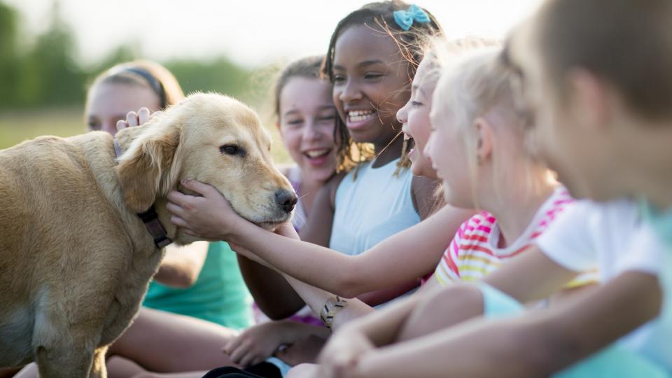 Mehrere Kinder sitzen auf dem Boden und freuen sich über einen Hund, der sich von einem Mädchen streicheln lässt.