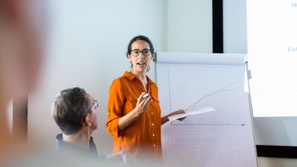 Eine Frau präsentiert Datenmaterial von einer Flipchart sowie einer Beamer-Projektion. Ihre Zuhörerschaft ist nur von hinten bzw. unscharf zu erkennen.