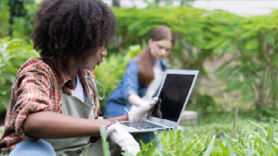 Das Banner zum BundesUmweltWettbewerb zeigt zwei Jugendliche mit Laptop auf einer Wiese. Das Banner zum BundesUmweltWettbewerb zeigt zwei Jugendliche mit Laptop auf einer Wiese.