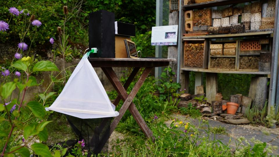 Für den Aufbau des Projekts KInsecta braucht man ein Insektenleitsystem, einen Flügelschlagsensor und nimmt eine Messung über den Laptop vor.