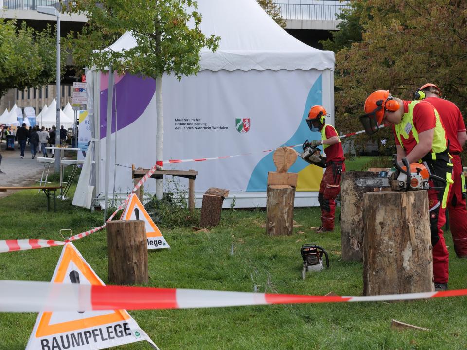 Vorführung "Baumpflege" im Rahmen der Dualen Ausbildung beim "Tag der offenen Tür - Hey Demokratie" (26. August 2023)