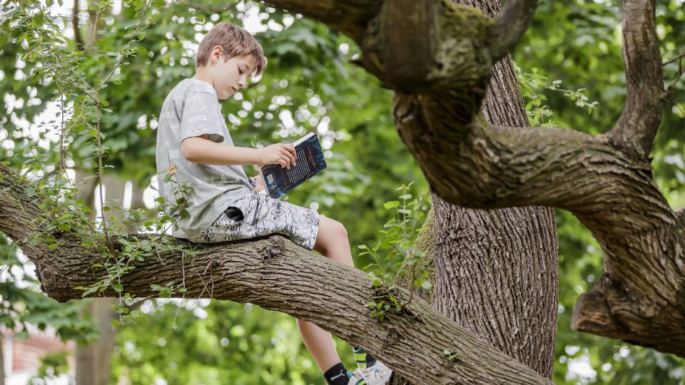 Ein Junge sitzt auf einem Baum und liest. Ein Junge sitzt auf einem Baum und liest.