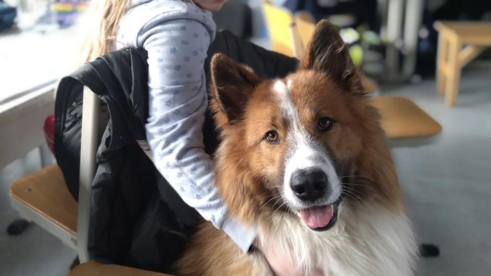 Ein Kind legt seinen Arm um einen Hund.