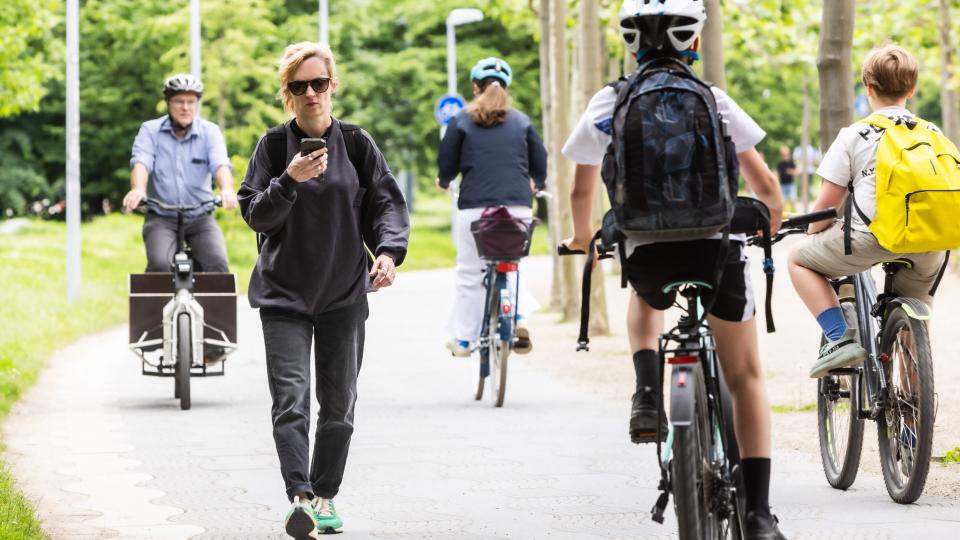 Radfahrer und Fußgänger bewegen sich auf einem Weg fort.