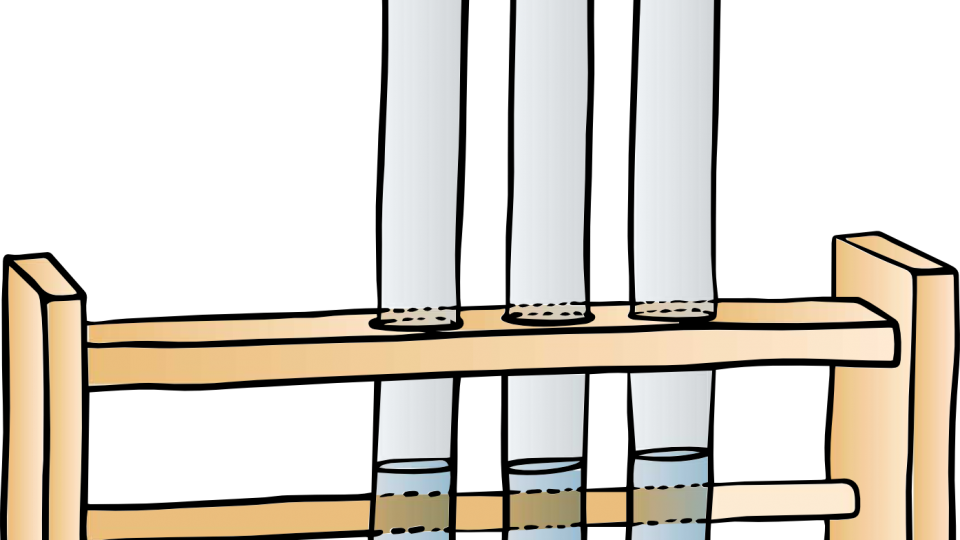 Illustration_Reagenzglas_in_Gestell_Fuellung