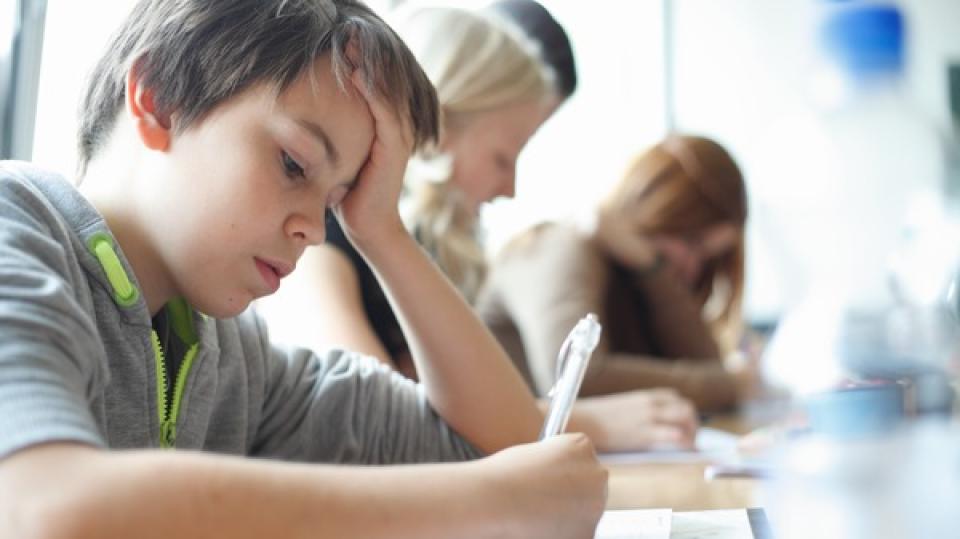 Schüler schreibt konzentriert im Unterricht (Gymnasium Am Neandertal, Erkrath).