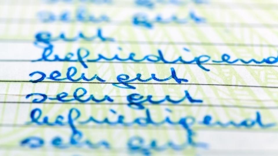Detailaufnahme handgeschriebener Zeugnisnoten. Zu lesen ist "sehr gut", "gut", "befriedigend". Detailaufnahme handgeschriebener Zeugnisnoten. Zu lesen ist "sehr gut", "gut", "befriedigend".