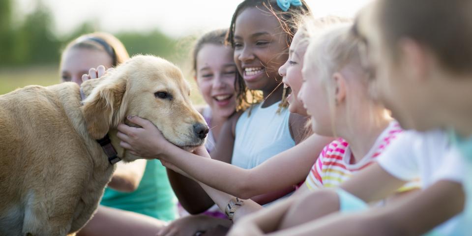 Mehrere Kinder sitzen auf dem Boden und freuen sich über einen Hund, der sich von einem Mädchen streicheln lässt.