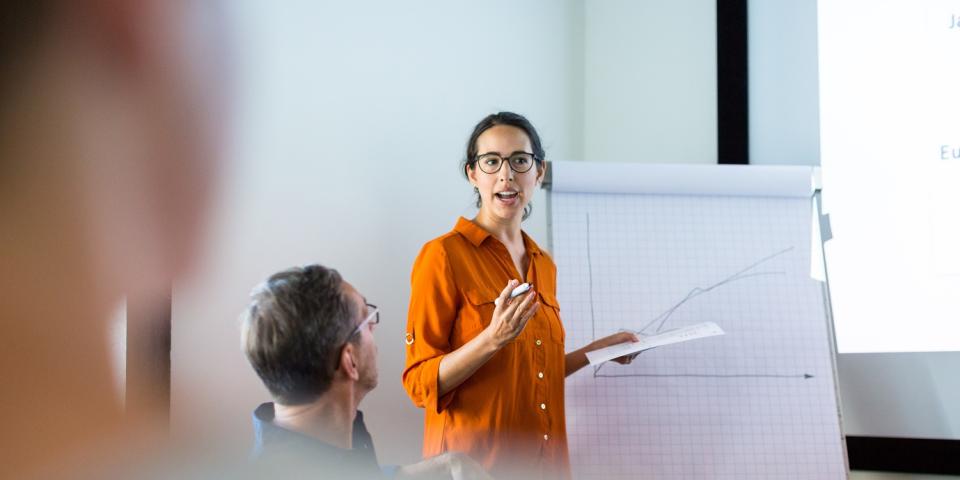 Eine Frau präsentiert Datenmaterial von einer Flipchart sowie einer Beamer-Projektion. Ihre Zuhörerschaft ist nur von hinten bzw. unscharf zu erkennen.