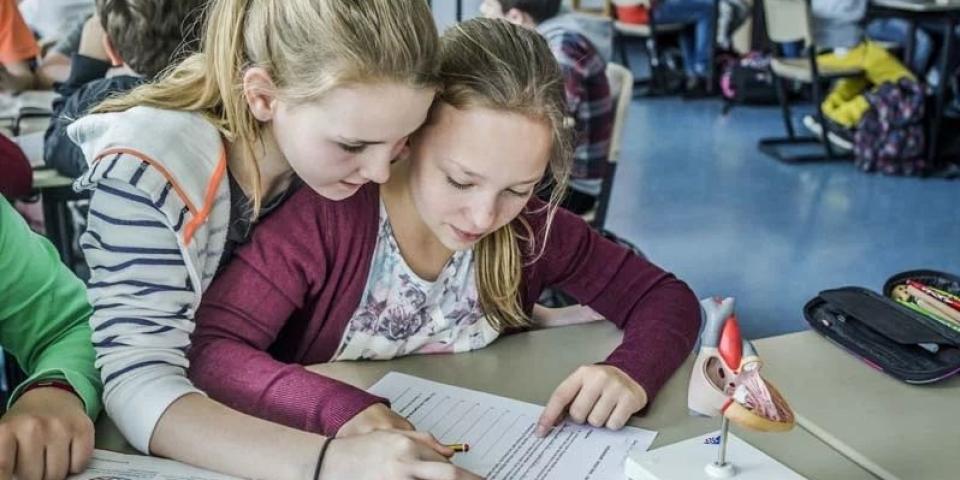 Zwei Schülerinnen bearbeiten gemeinsam ein Arbeitsblatt im Biologieunterricht.