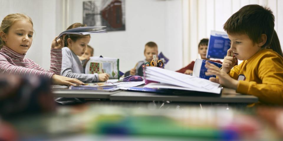 Grundschülerinnen und Grundschüler sitzen während des Unterrichts vor aufgeschlagenen Büchern, lesen und arbeiten.