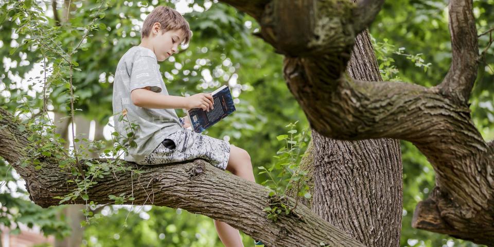 Ein Junge sitzt auf einem Baum und liest.