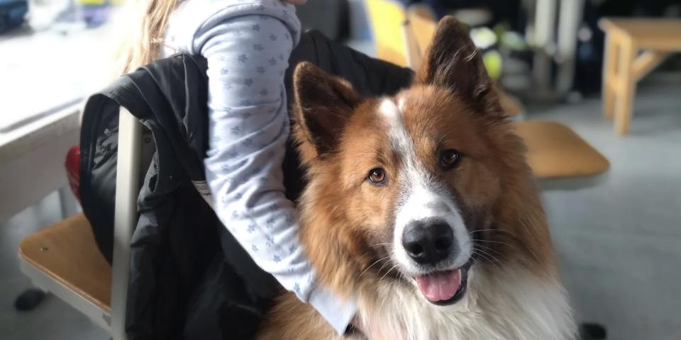 Ein Kind legt seinen Arm um einen Hund.