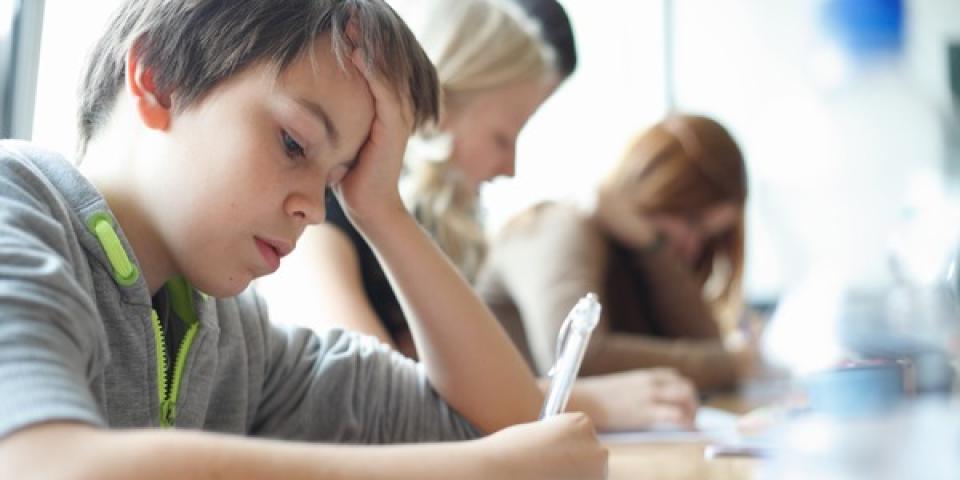 Schüler schreibt konzentriert im Unterricht (Gymnasium Am Neandertal, Erkrath).