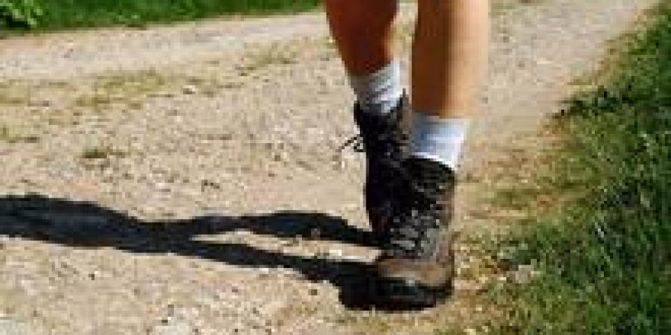 Füße in Wanderschuhen auf einem Feldweg.