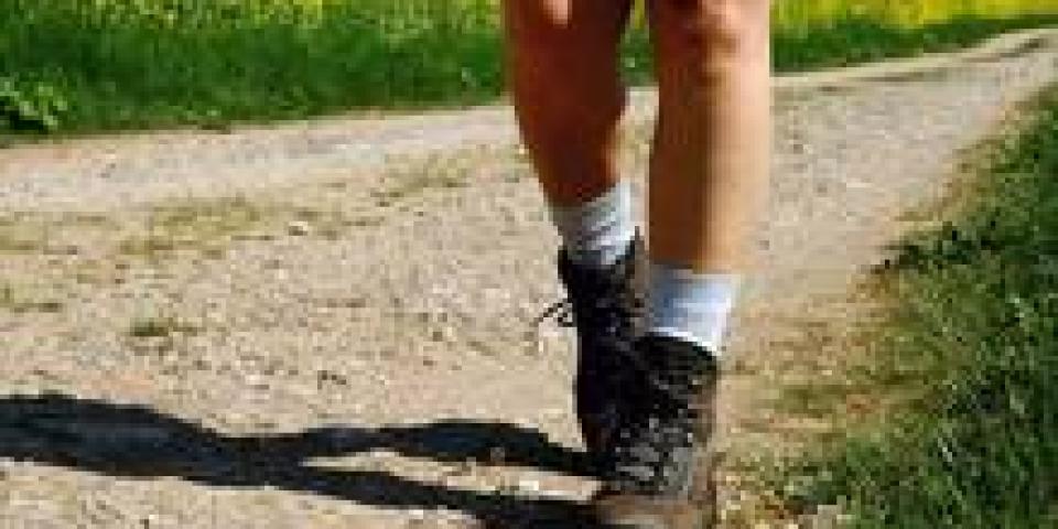 Füße in Wanderschuhen auf einem Feldweg.