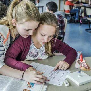 Zwei Schülerinnen bearbeiten gemeinsam ein Arbeitsblatt im Biologieunterricht.
