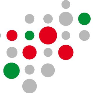 Wort-Bildmarke der Regionalen Bildungszentren der Berufskollegs 