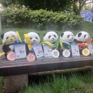Plüschpandas sitzen mit den Siegermedaillen der Mathe-Olympiade 2026 nebeneinander auf einer Bank