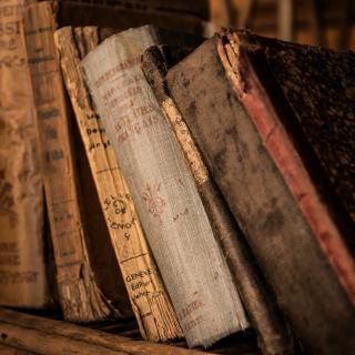 Nahaufnahme eines Bücherregals mit antiquarischen französischen Büchern.