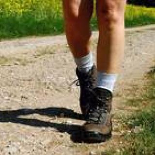 Füße in Wanderschuhen auf einem Feldweg.